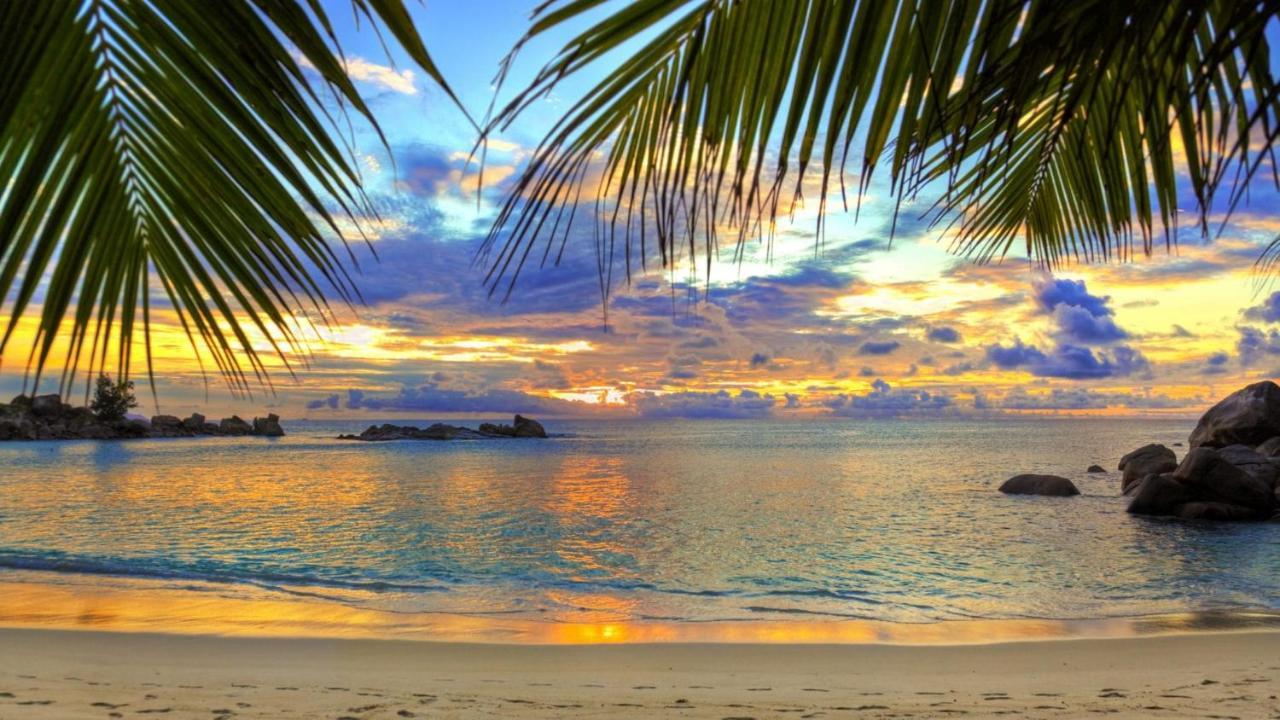 Leman Holidays - Le Palm Mandelieu Exteriér fotografie
